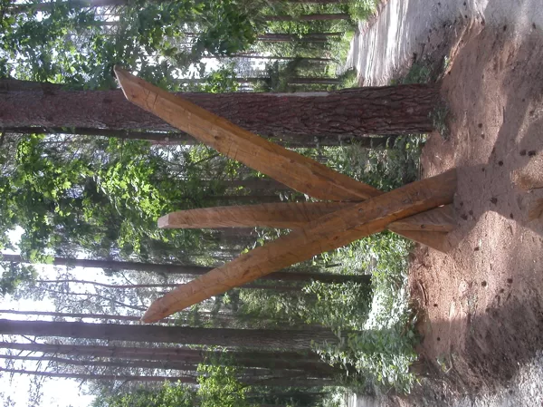 ŠOKIS